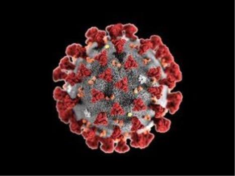 تعداد مبتلایان به ویروس دلتا بین افراد واکسینه شده بیشتر است