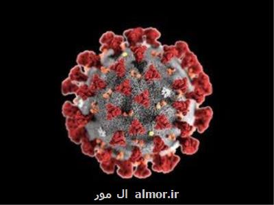 تعداد مبتلایان به ویروس دلتا بین افراد واکسینه شده بیشتر است