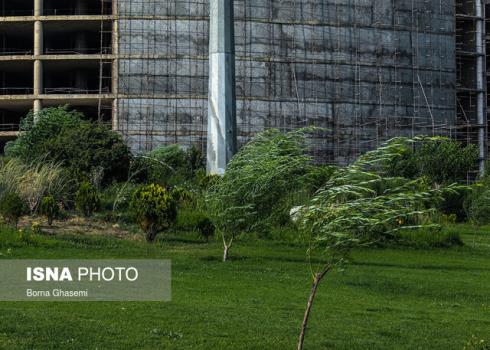 وزش باید نسبتا شدید در تهران