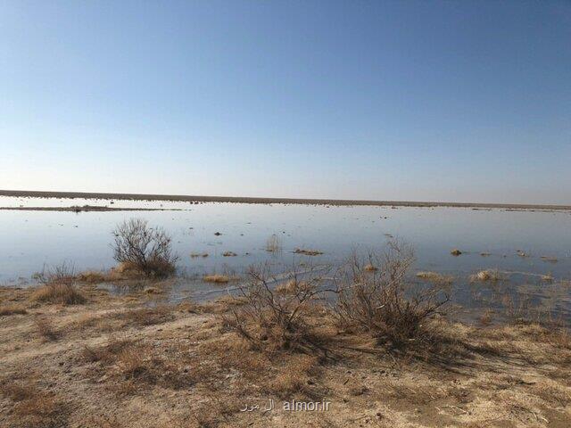 کاهش چشم گیر پرندگان مهاجر در تهران به دلیل کم آبی تالاب بندعلیخان