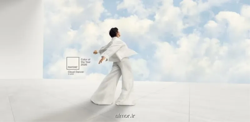 واکنش های تند به انتخاب رنگ سال