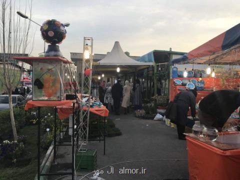 استقرار ۱۵ ایستگاه اكران فیلم سیار در سطح پایتخت
