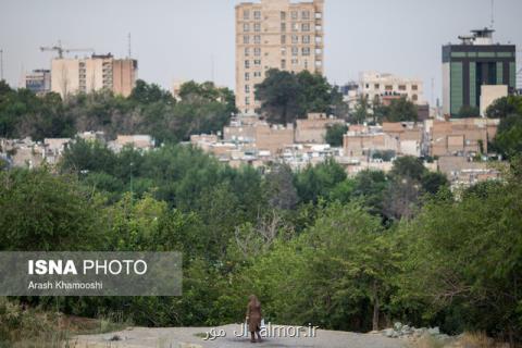 برخورد با همسایه های متصرف فضای سبز در شهرك غرب