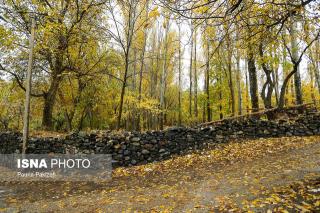 تلاش شهرداری برای تبدیل باغ حكیم به بوستان