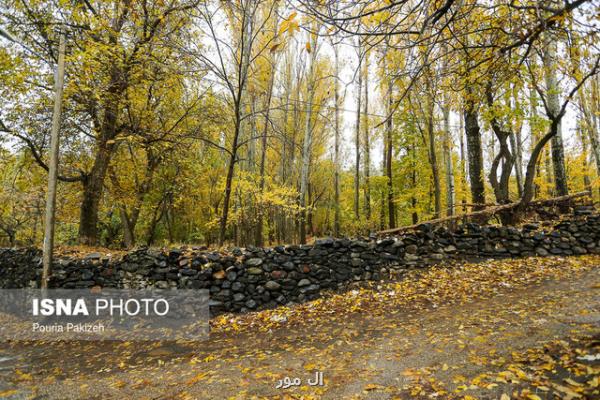 تلاش شهرداری برای تبدیل باغ حكیم به بوستان