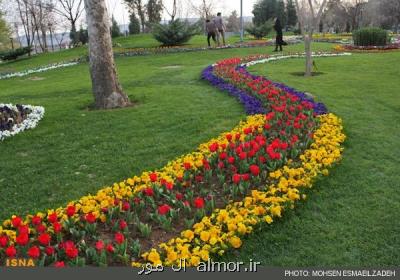 كمتر از ده درصد از آبیاری فضای سبز شهر از محل پساب هاست