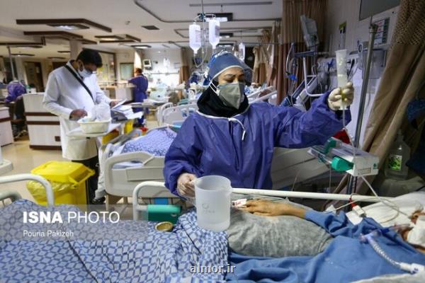 بستری ۱۱۷ بیمار در بخش های كرونائی بیمارستان های استان بوشهر